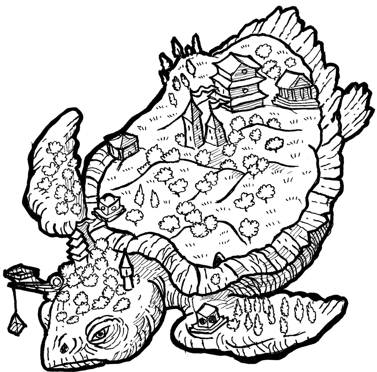 Turtle colouring page